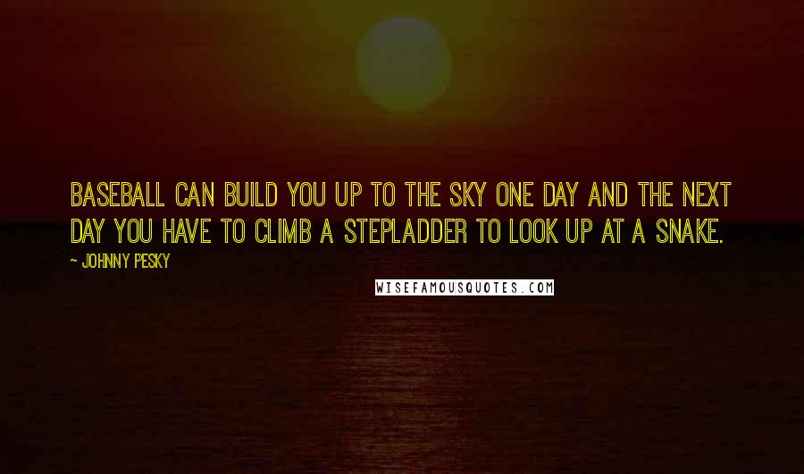 Johnny Pesky Quotes: Baseball can build you up to the sky one day and the next day you have to climb a stepladder to look up at a snake.