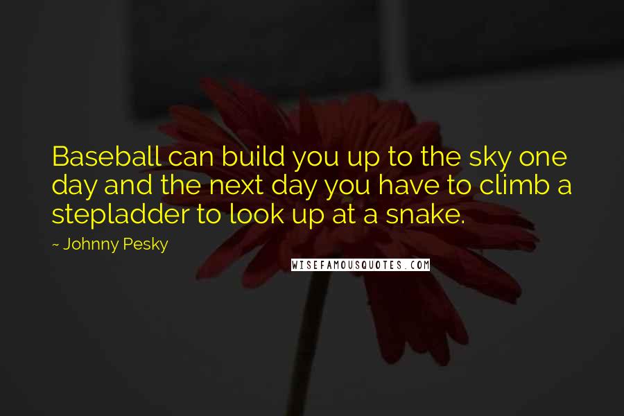 Johnny Pesky Quotes: Baseball can build you up to the sky one day and the next day you have to climb a stepladder to look up at a snake.