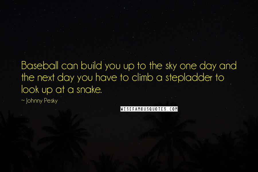 Johnny Pesky Quotes: Baseball can build you up to the sky one day and the next day you have to climb a stepladder to look up at a snake.