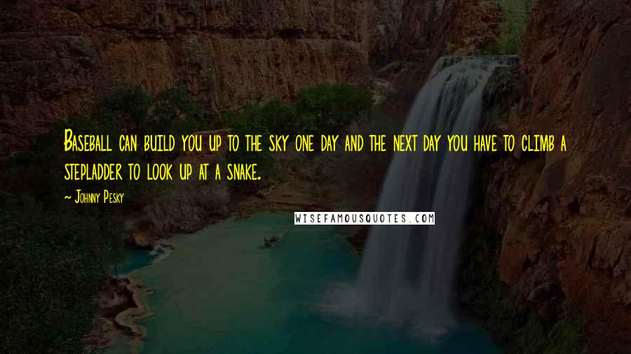 Johnny Pesky Quotes: Baseball can build you up to the sky one day and the next day you have to climb a stepladder to look up at a snake.