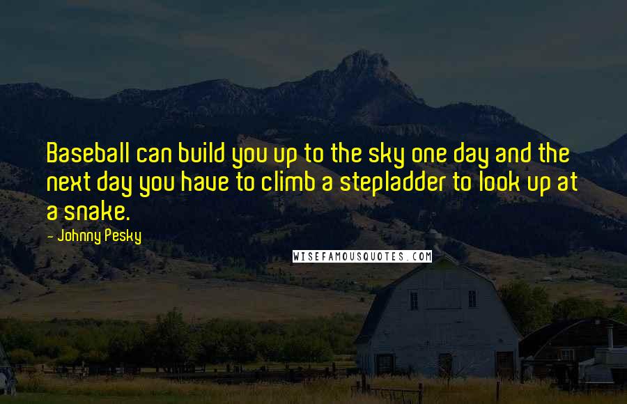 Johnny Pesky Quotes: Baseball can build you up to the sky one day and the next day you have to climb a stepladder to look up at a snake.