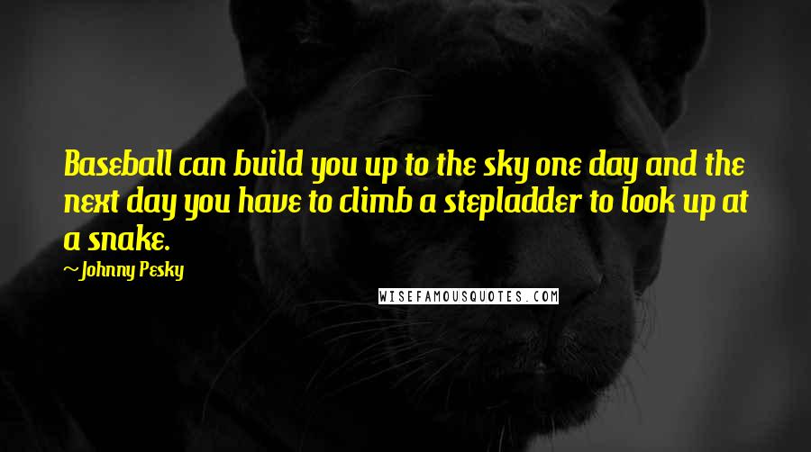 Johnny Pesky Quotes: Baseball can build you up to the sky one day and the next day you have to climb a stepladder to look up at a snake.