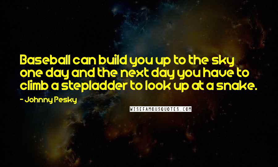 Johnny Pesky Quotes: Baseball can build you up to the sky one day and the next day you have to climb a stepladder to look up at a snake.