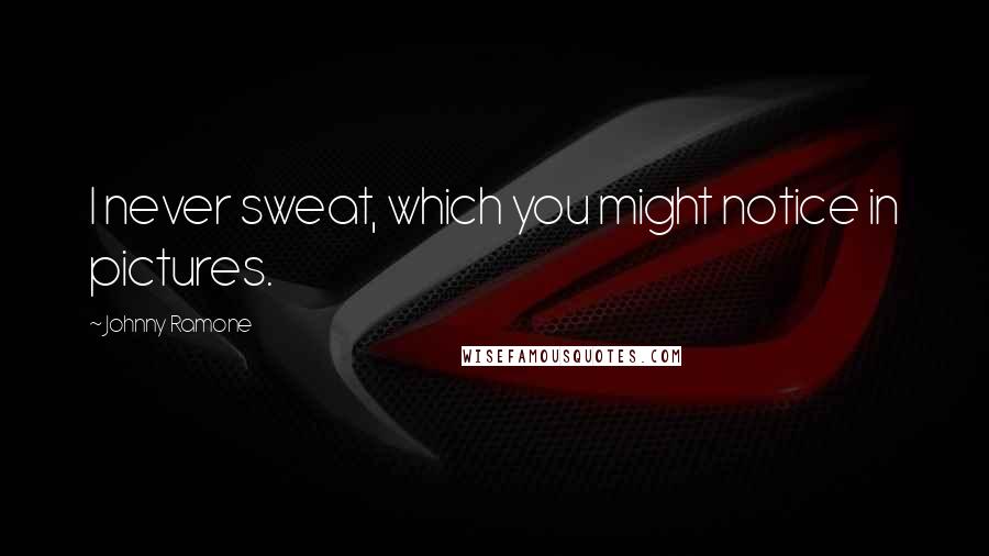 Johnny Ramone Quotes: I never sweat, which you might notice in pictures.
