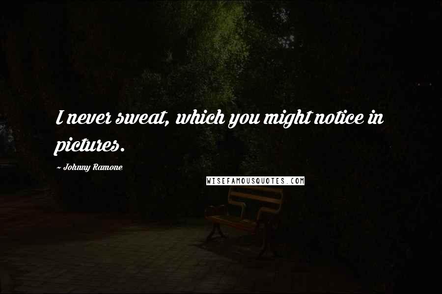 Johnny Ramone Quotes: I never sweat, which you might notice in pictures.