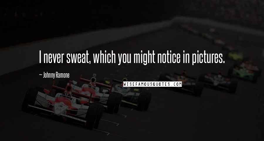 Johnny Ramone Quotes: I never sweat, which you might notice in pictures.