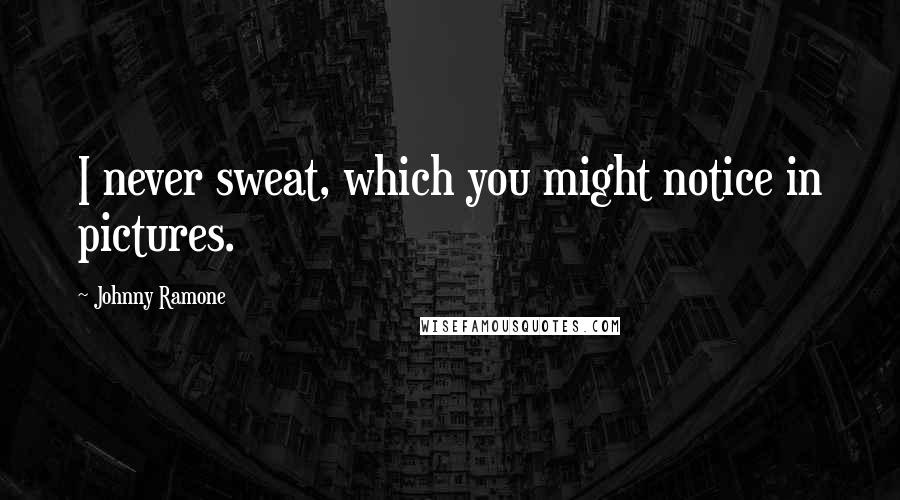 Johnny Ramone Quotes: I never sweat, which you might notice in pictures.