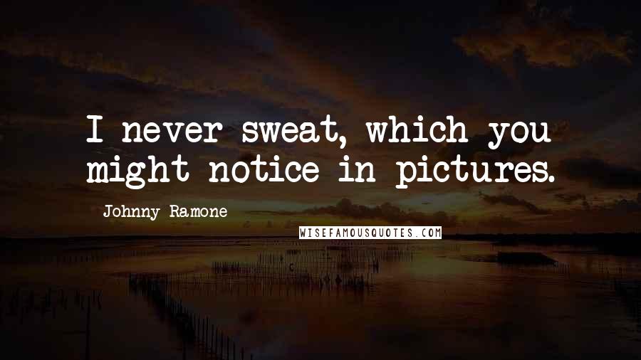 Johnny Ramone Quotes: I never sweat, which you might notice in pictures.