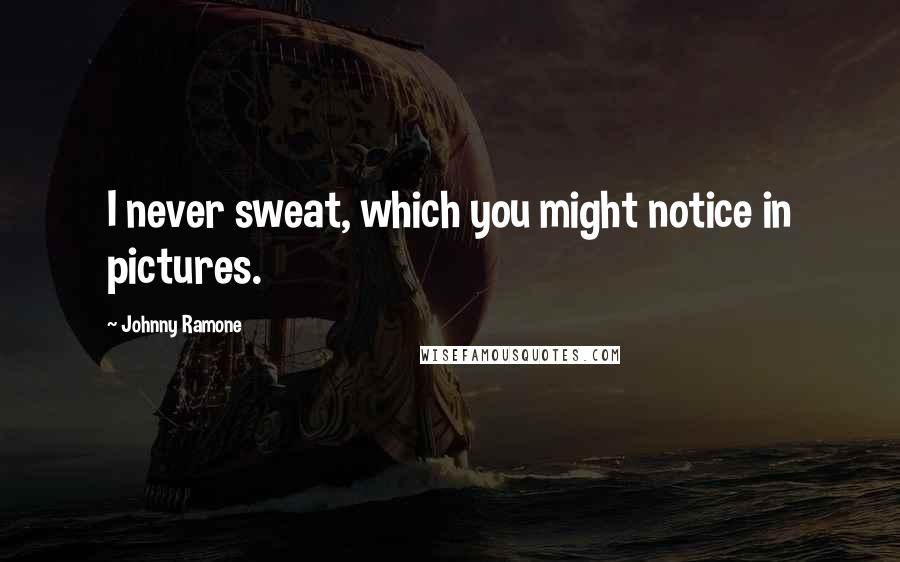 Johnny Ramone Quotes: I never sweat, which you might notice in pictures.