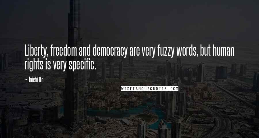 Joichi Ito Quotes: Liberty, freedom and democracy are very fuzzy words, but human rights is very specific.