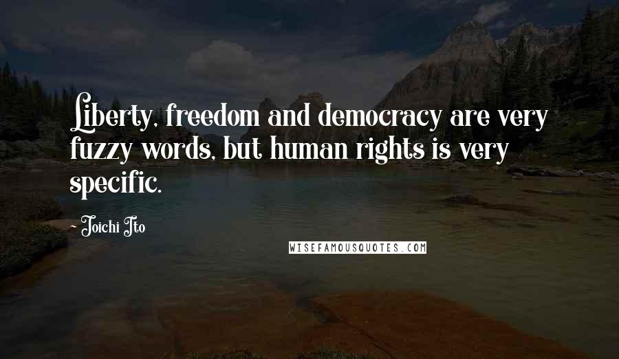 Joichi Ito Quotes: Liberty, freedom and democracy are very fuzzy words, but human rights is very specific.