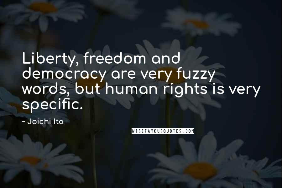Joichi Ito Quotes: Liberty, freedom and democracy are very fuzzy words, but human rights is very specific.