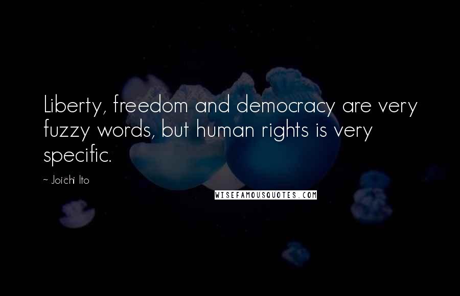 Joichi Ito Quotes: Liberty, freedom and democracy are very fuzzy words, but human rights is very specific.