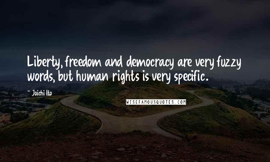 Joichi Ito Quotes: Liberty, freedom and democracy are very fuzzy words, but human rights is very specific.