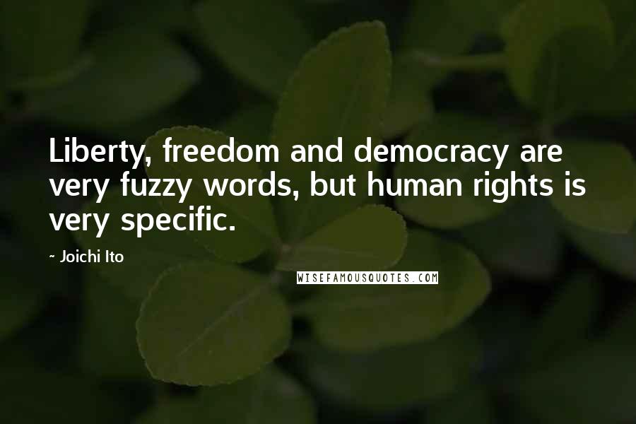 Joichi Ito Quotes: Liberty, freedom and democracy are very fuzzy words, but human rights is very specific.