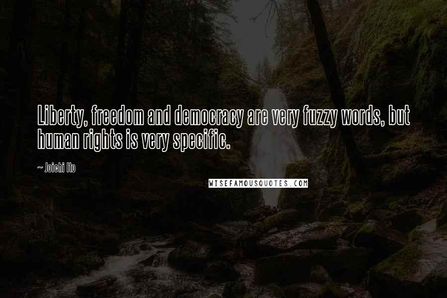 Joichi Ito Quotes: Liberty, freedom and democracy are very fuzzy words, but human rights is very specific.
