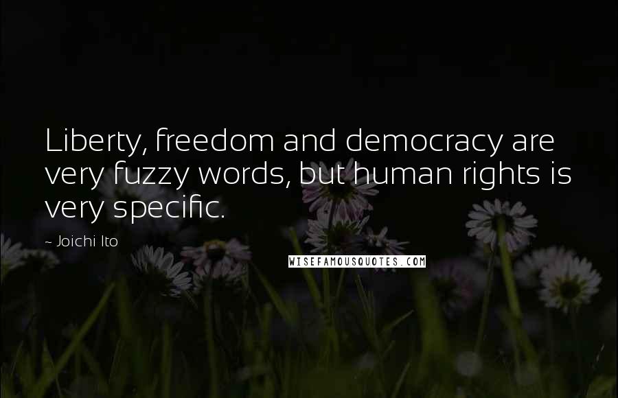 Joichi Ito Quotes: Liberty, freedom and democracy are very fuzzy words, but human rights is very specific.