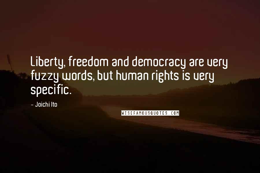 Joichi Ito Quotes: Liberty, freedom and democracy are very fuzzy words, but human rights is very specific.