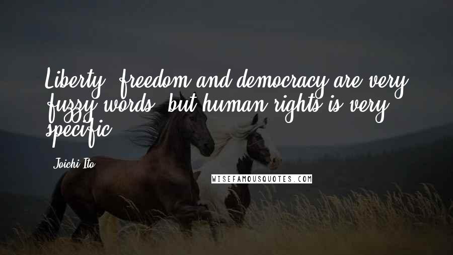 Joichi Ito Quotes: Liberty, freedom and democracy are very fuzzy words, but human rights is very specific.