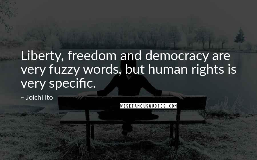 Joichi Ito Quotes: Liberty, freedom and democracy are very fuzzy words, but human rights is very specific.