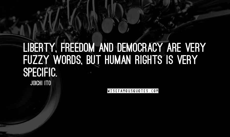 Joichi Ito Quotes: Liberty, freedom and democracy are very fuzzy words, but human rights is very specific.