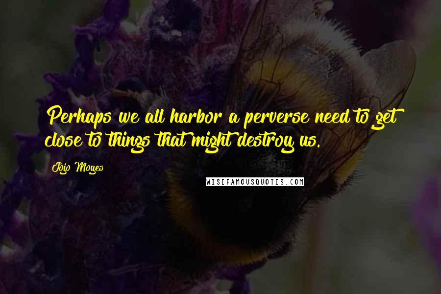 Jojo Moyes Quotes: Perhaps we all harbor a perverse need to get close to things that might destroy us.