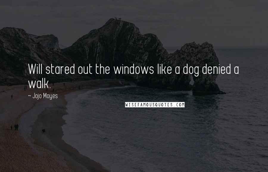 Jojo Moyes Quotes: Will stared out the windows like a dog denied a walk.