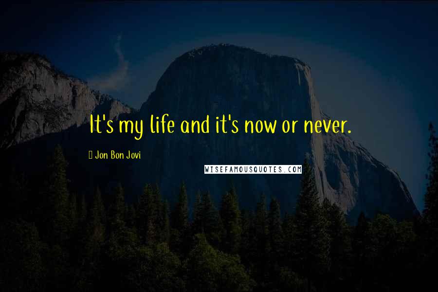 Jon Bon Jovi Quotes: It's my life and it's now or never.