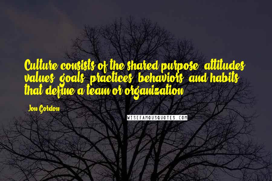 Jon Gordon Quotes: Culture consists of the shared purpose, attitudes, values, goals, practices, behaviors, and habits that define a team or organization.