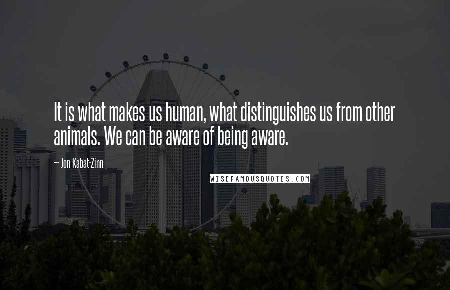 Jon Kabat-Zinn Quotes: It is what makes us human, what distinguishes us from other animals. We can be aware of being aware.