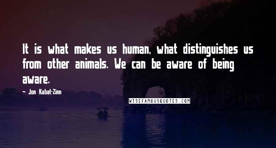 Jon Kabat-Zinn Quotes: It is what makes us human, what distinguishes us from other animals. We can be aware of being aware.