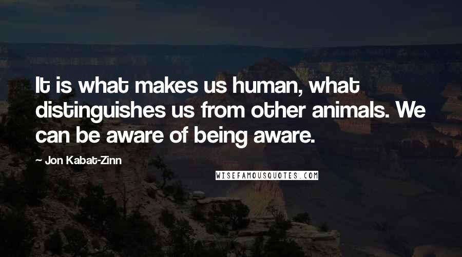 Jon Kabat-Zinn Quotes: It is what makes us human, what distinguishes us from other animals. We can be aware of being aware.