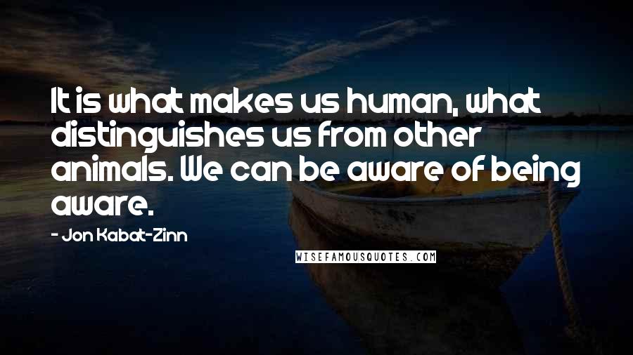 Jon Kabat-Zinn Quotes: It is what makes us human, what distinguishes us from other animals. We can be aware of being aware.