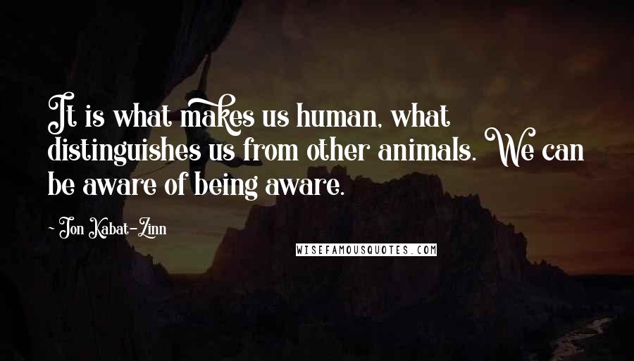 Jon Kabat-Zinn Quotes: It is what makes us human, what distinguishes us from other animals. We can be aware of being aware.
