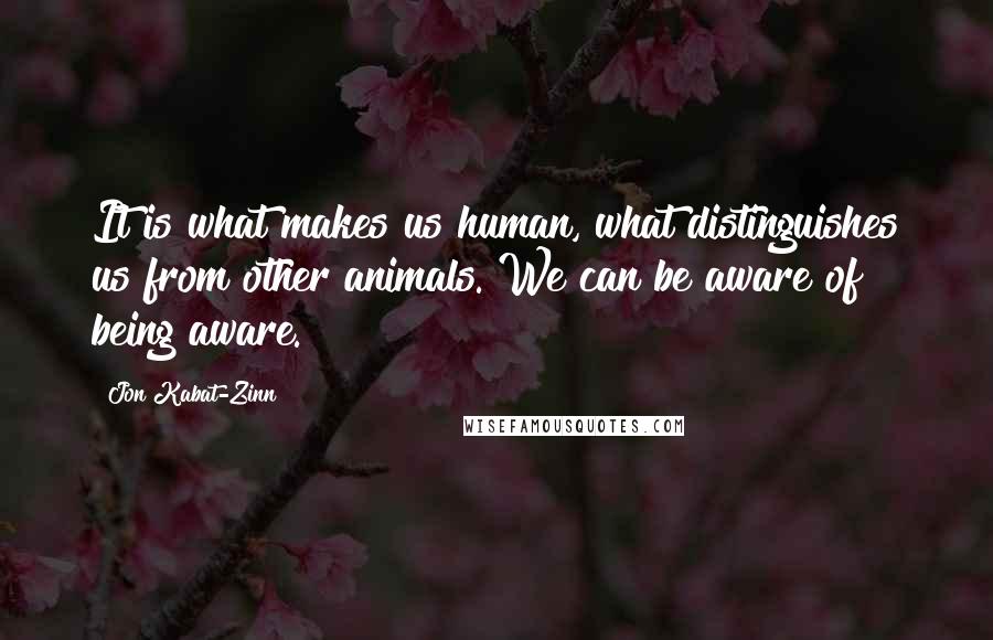 Jon Kabat-Zinn Quotes: It is what makes us human, what distinguishes us from other animals. We can be aware of being aware.