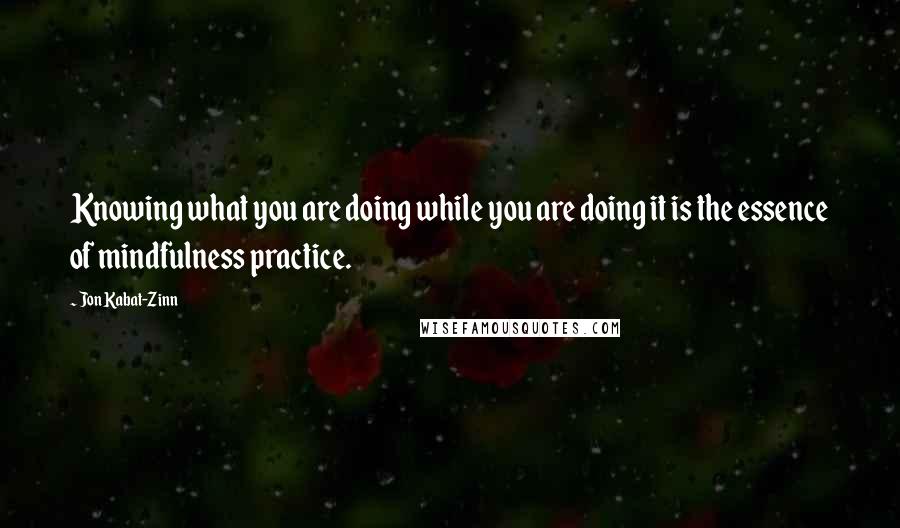 Jon Kabat-Zinn Quotes: Knowing what you are doing while you are doing it is the essence of mindfulness practice.