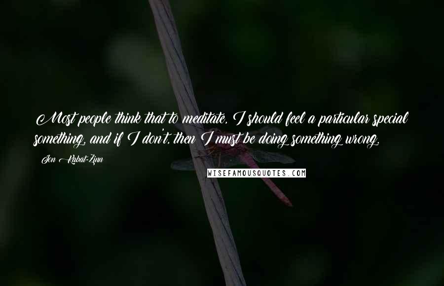 Jon Kabat-Zinn Quotes: Most people think that to meditate, I should feel a particular special something, and if I don't, then I must be doing something wrong.
