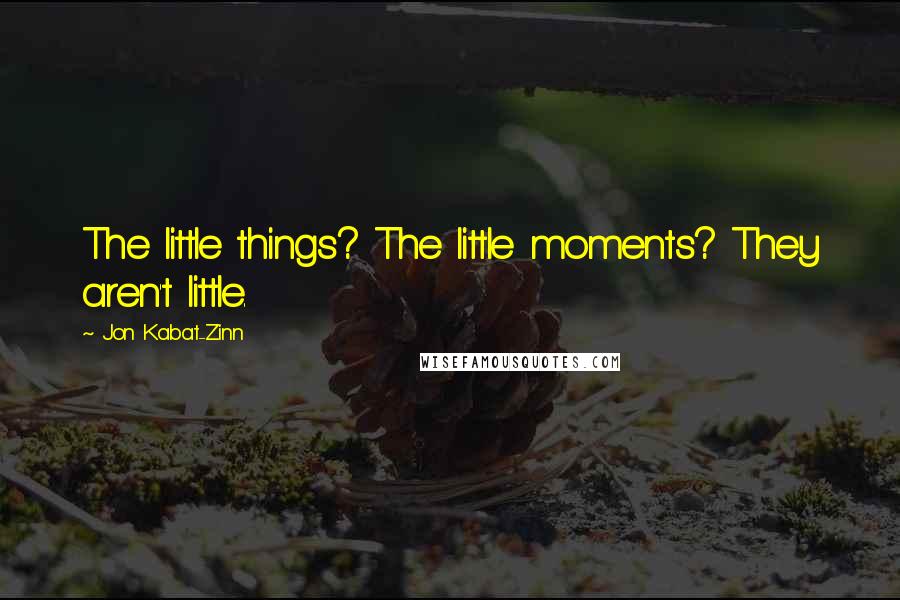Jon Kabat-Zinn Quotes: The little things? The little moments? They aren't little.