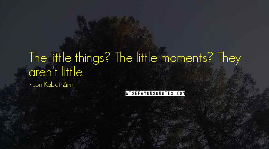 Jon Kabat-Zinn Quotes: The little things? The little moments? They aren't little.