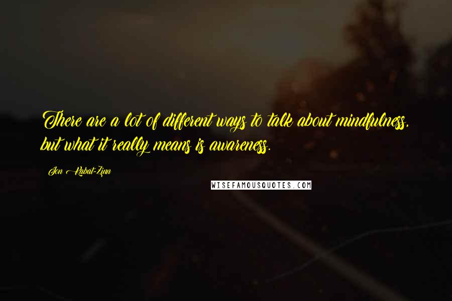 Jon Kabat-Zinn Quotes: There are a lot of different ways to talk about mindfulness, but what it really means is awareness.