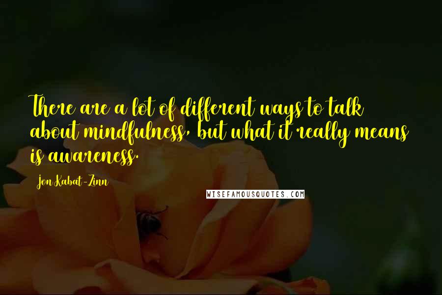 Jon Kabat-Zinn Quotes: There are a lot of different ways to talk about mindfulness, but what it really means is awareness.