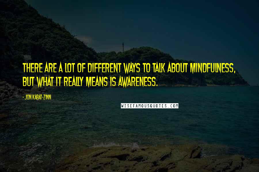 Jon Kabat-Zinn Quotes: There are a lot of different ways to talk about mindfulness, but what it really means is awareness.