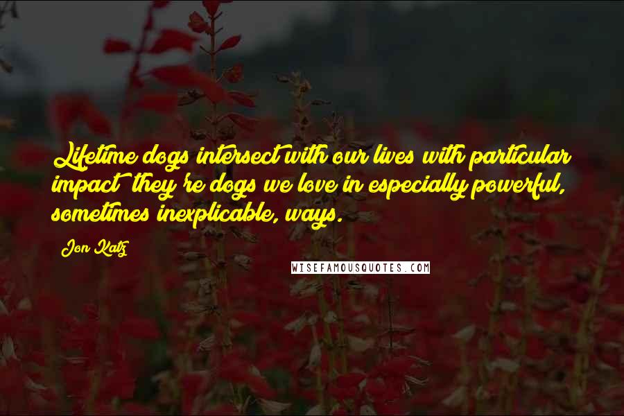 Jon Katz Quotes: Lifetime dogs intersect with our lives with particular impact; they're dogs we love in especially powerful, sometimes inexplicable, ways.