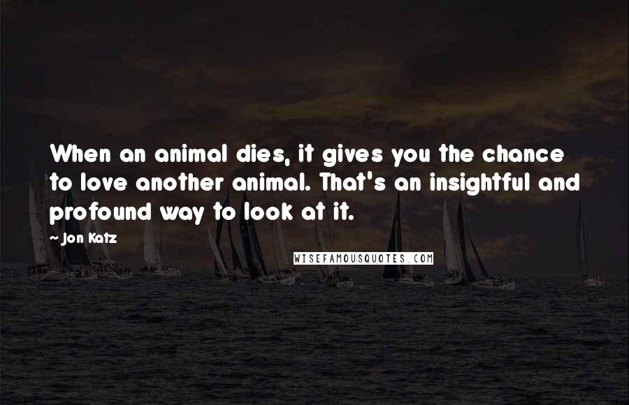 Jon Katz Quotes: When an animal dies, it gives you the chance to love another animal. That's an insightful and profound way to look at it.