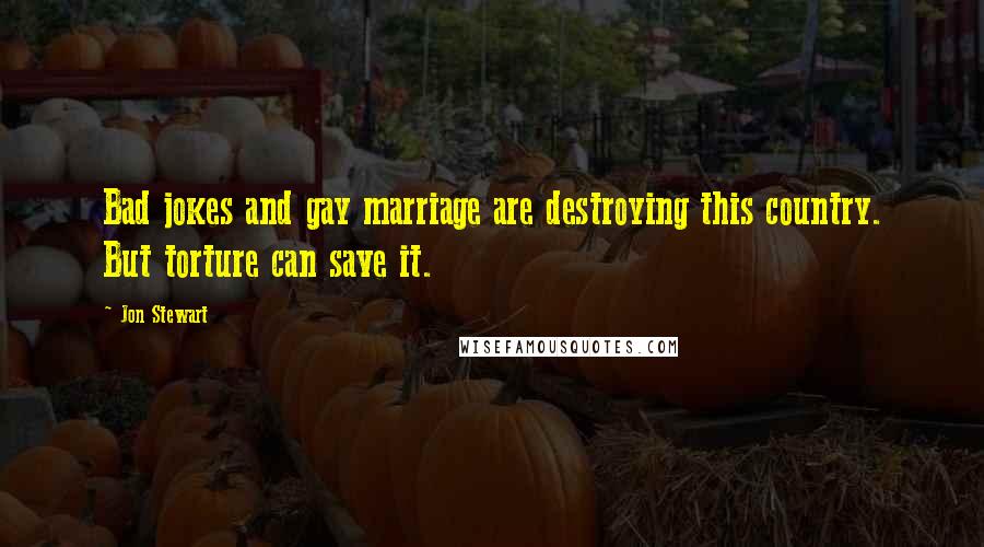 Jon Stewart Quotes: Bad jokes and gay marriage are destroying this country. But torture can save it.