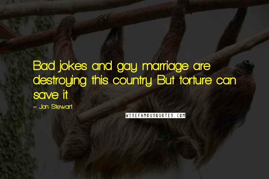 Jon Stewart Quotes: Bad jokes and gay marriage are destroying this country. But torture can save it.