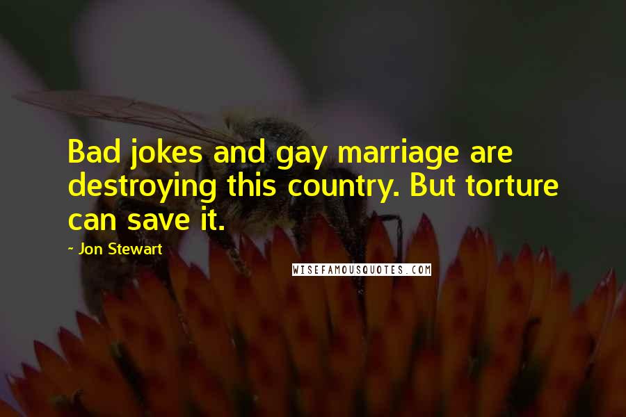 Jon Stewart Quotes: Bad jokes and gay marriage are destroying this country. But torture can save it.