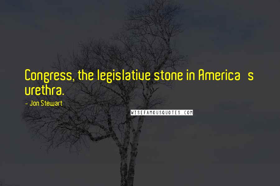 Jon Stewart Quotes: Congress, the legislative stone in America's urethra.