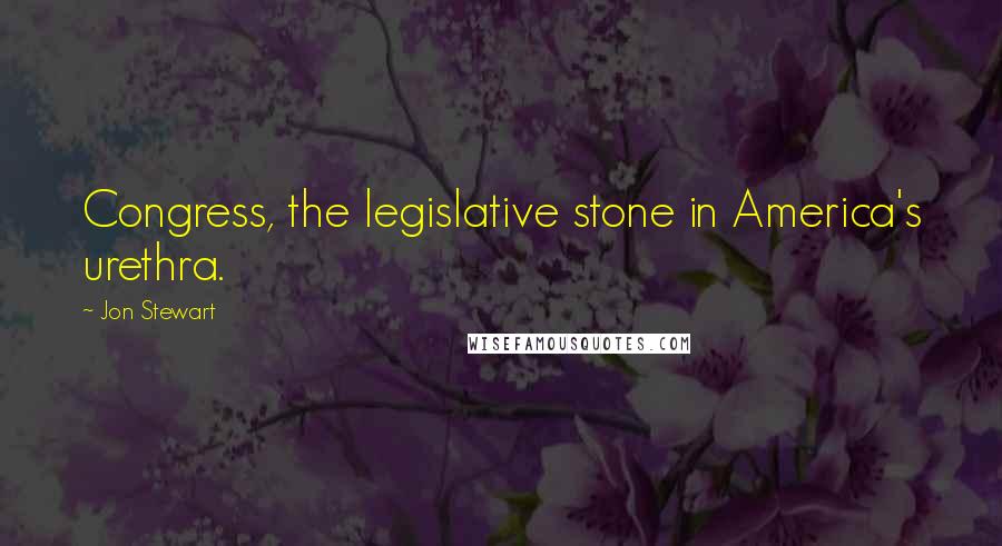 Jon Stewart Quotes: Congress, the legislative stone in America's urethra.