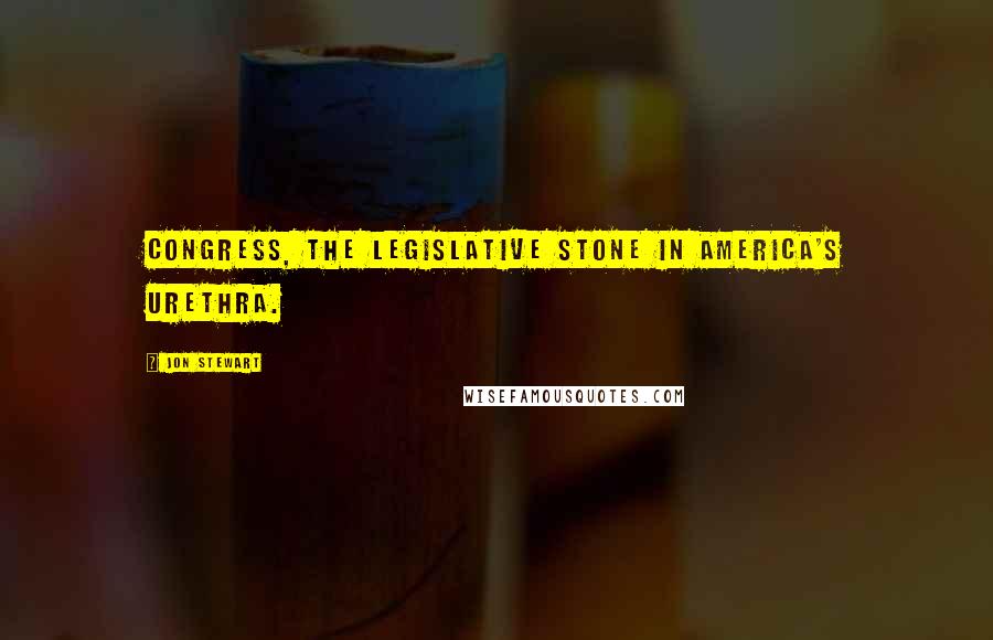Jon Stewart Quotes: Congress, the legislative stone in America's urethra.